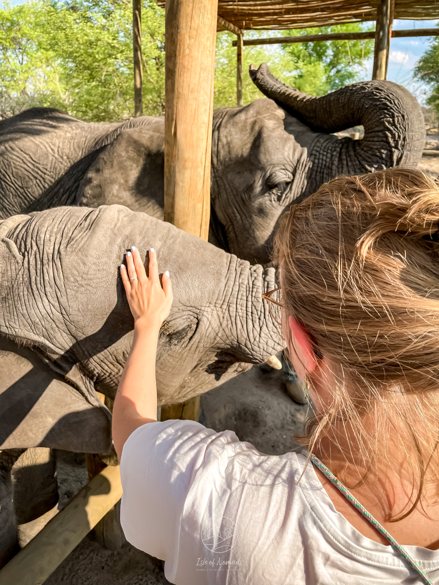 ...we got to explore the Okavango Delta in day trips, for example to this Elephant sanctuary