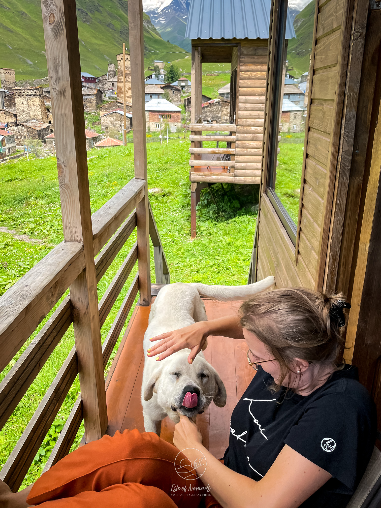 The dog followed us all the way to the Glacier