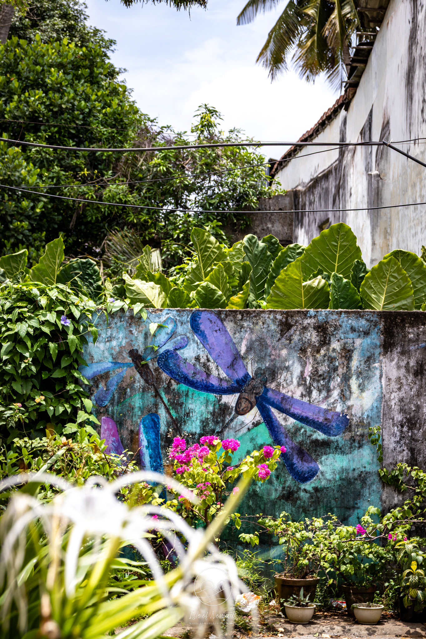 We found lots of art galleries and beautiful murals!