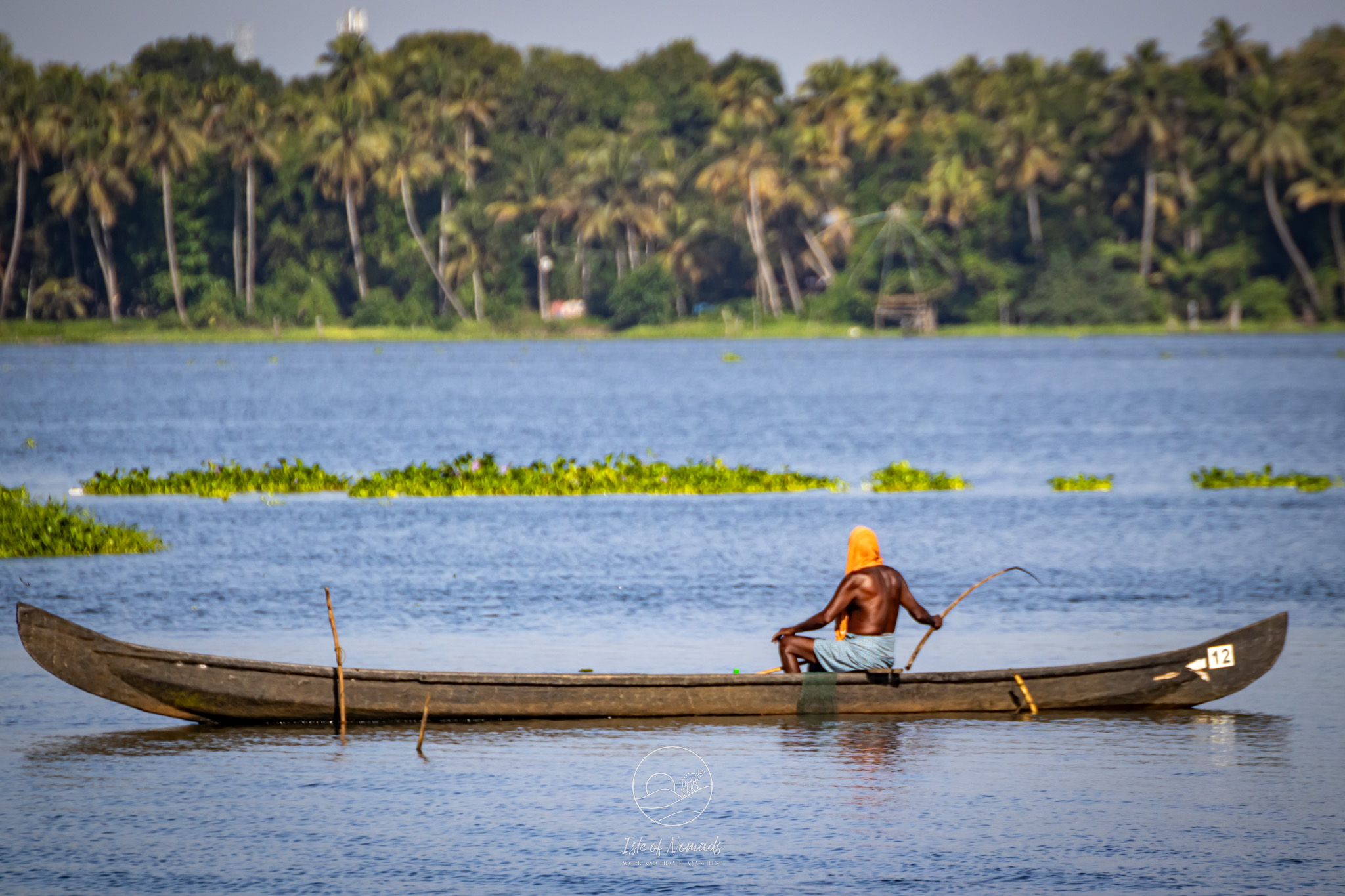 Birding is a great activity in the Backwaters