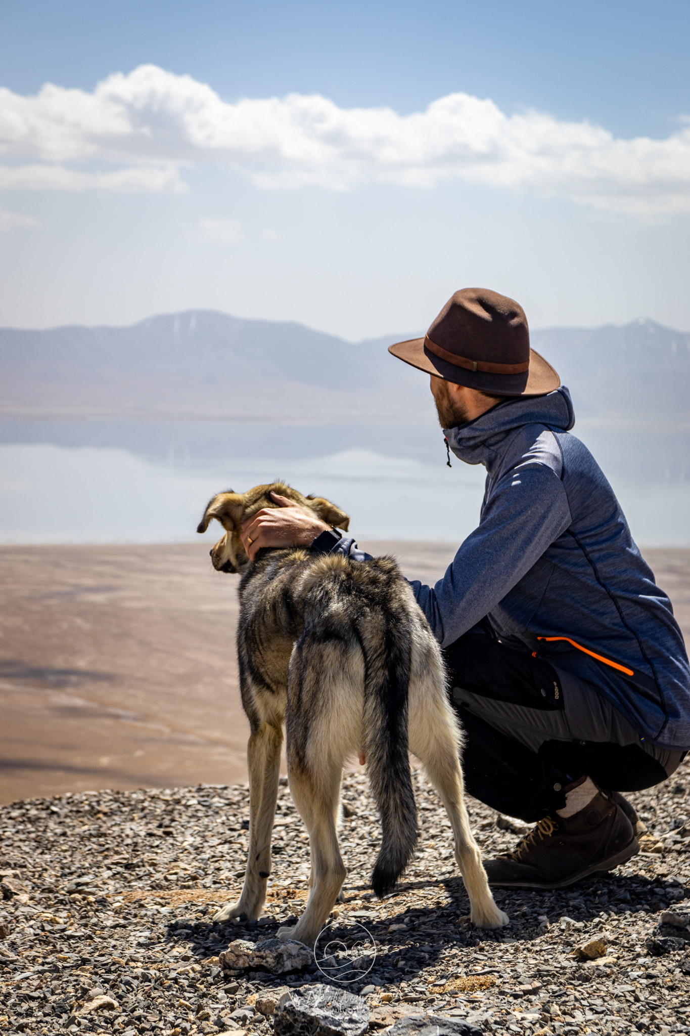 ...and often the village dogs decide to join such an excursion