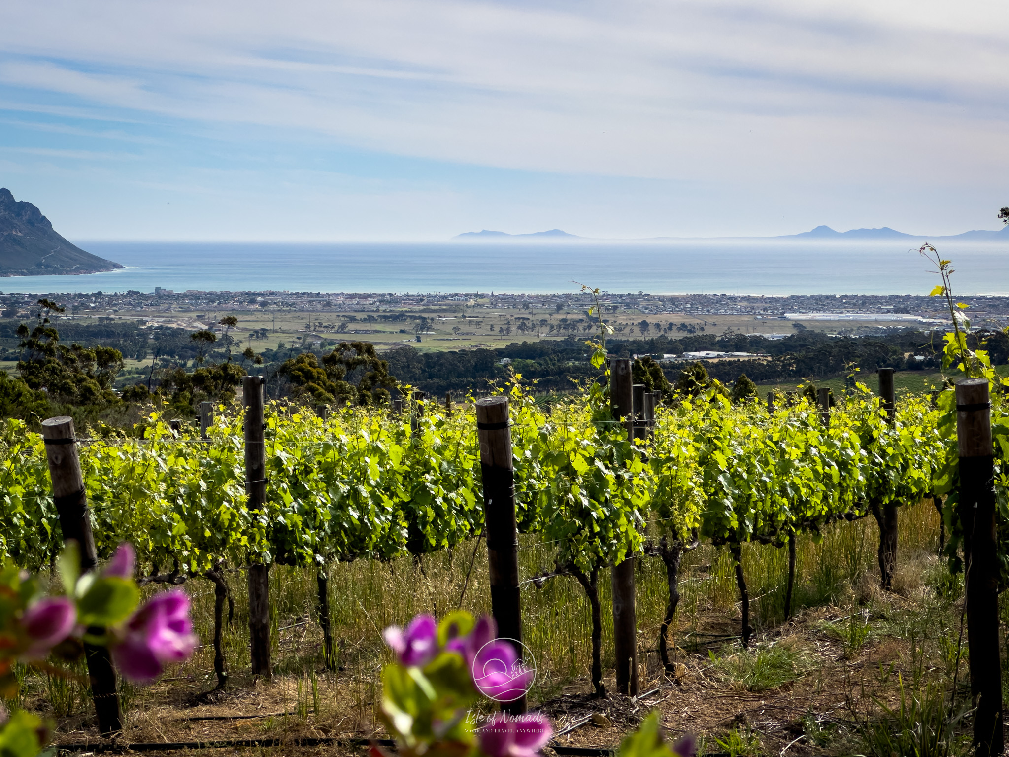 Views over vines towards False Bay