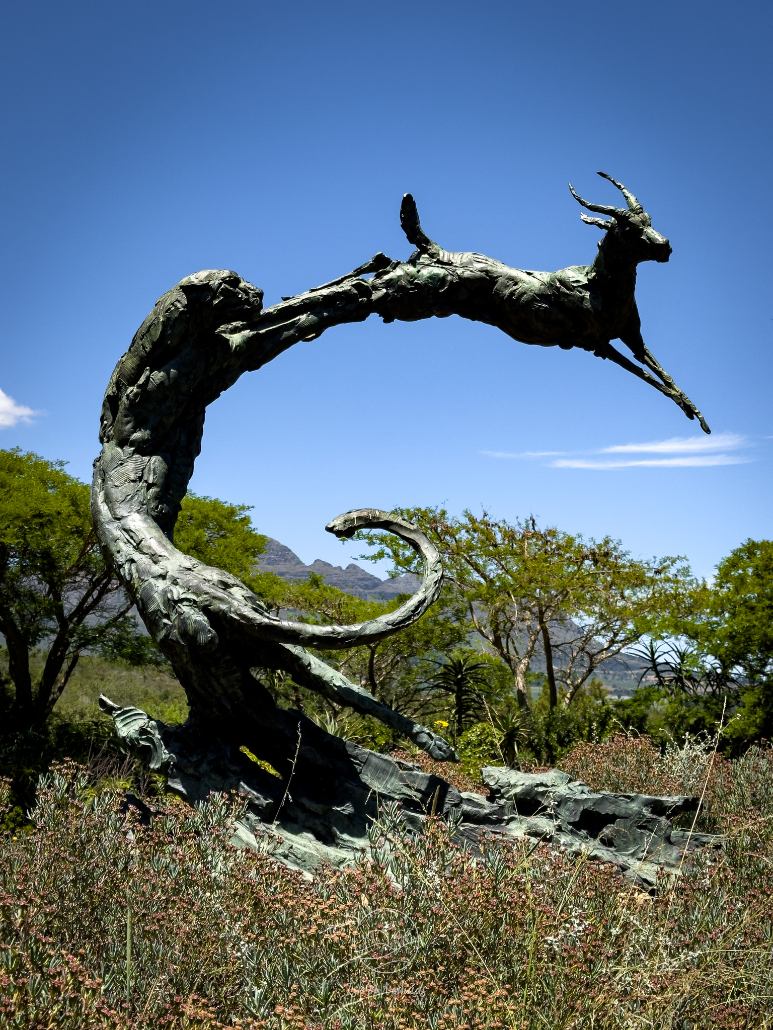 We love to spend time at Dylan Lewis Scuplpture Garden