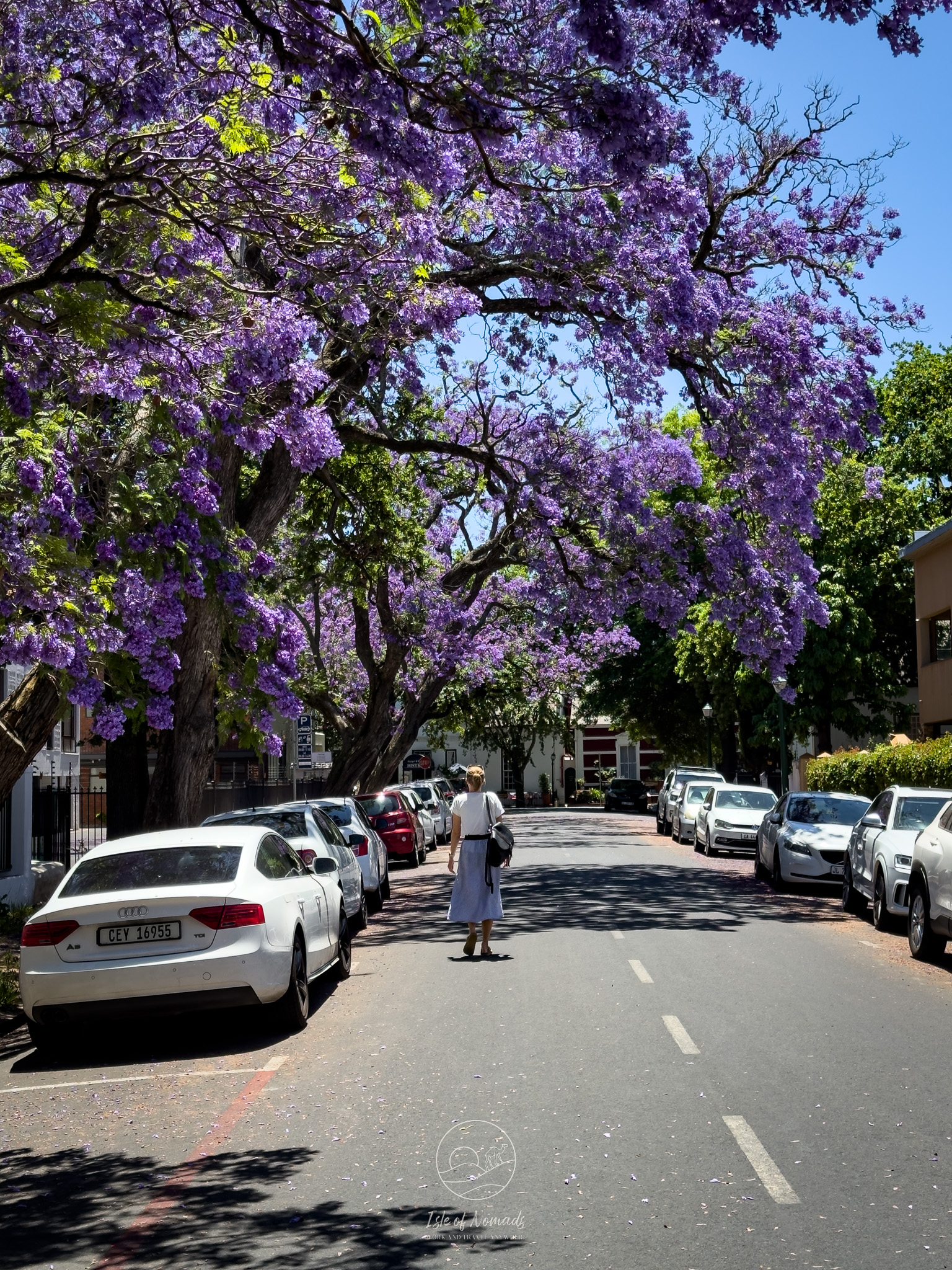 Spring in Stellenbosch is particularly magical