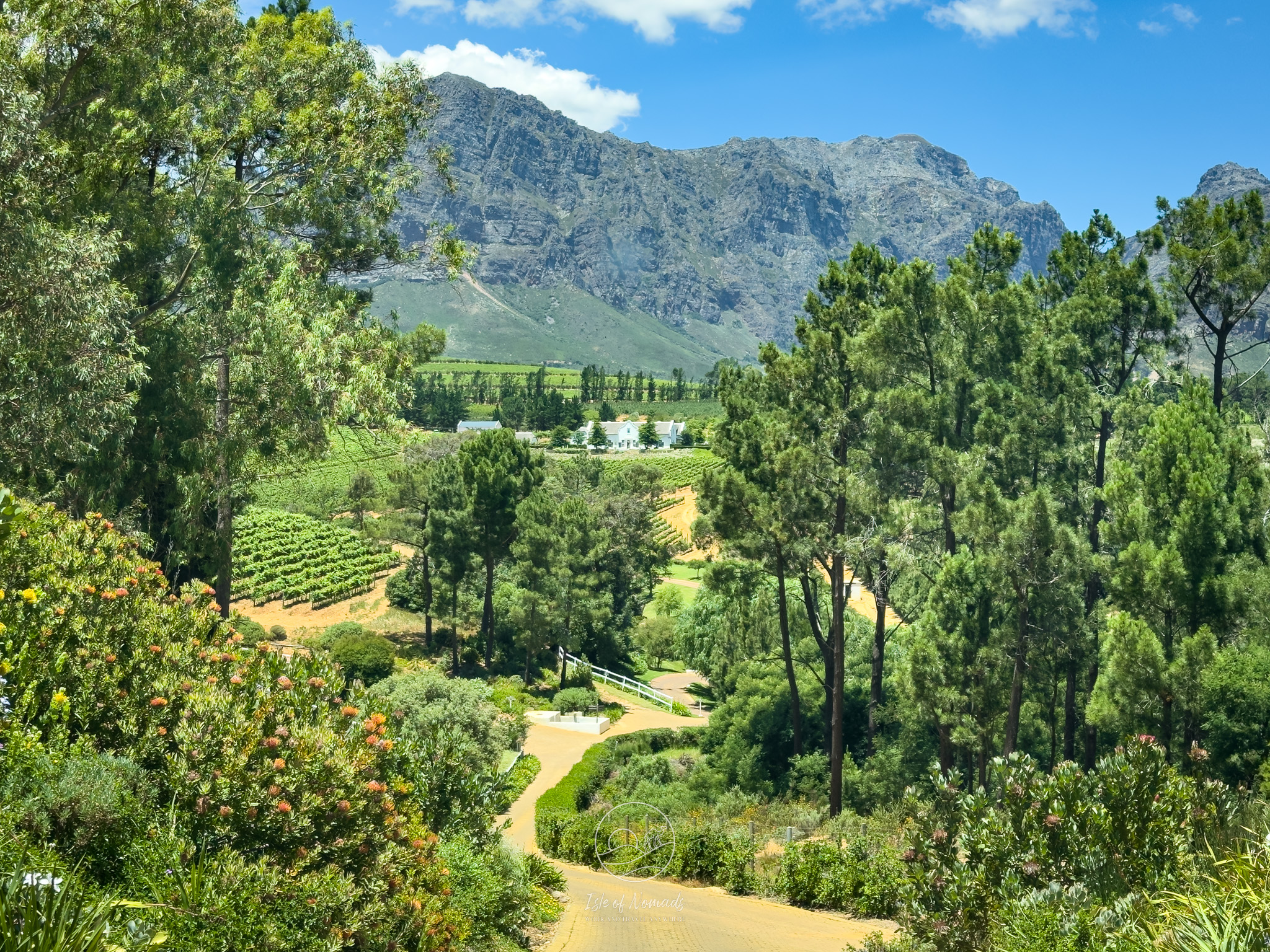 Views across the vineyards close to Paarl