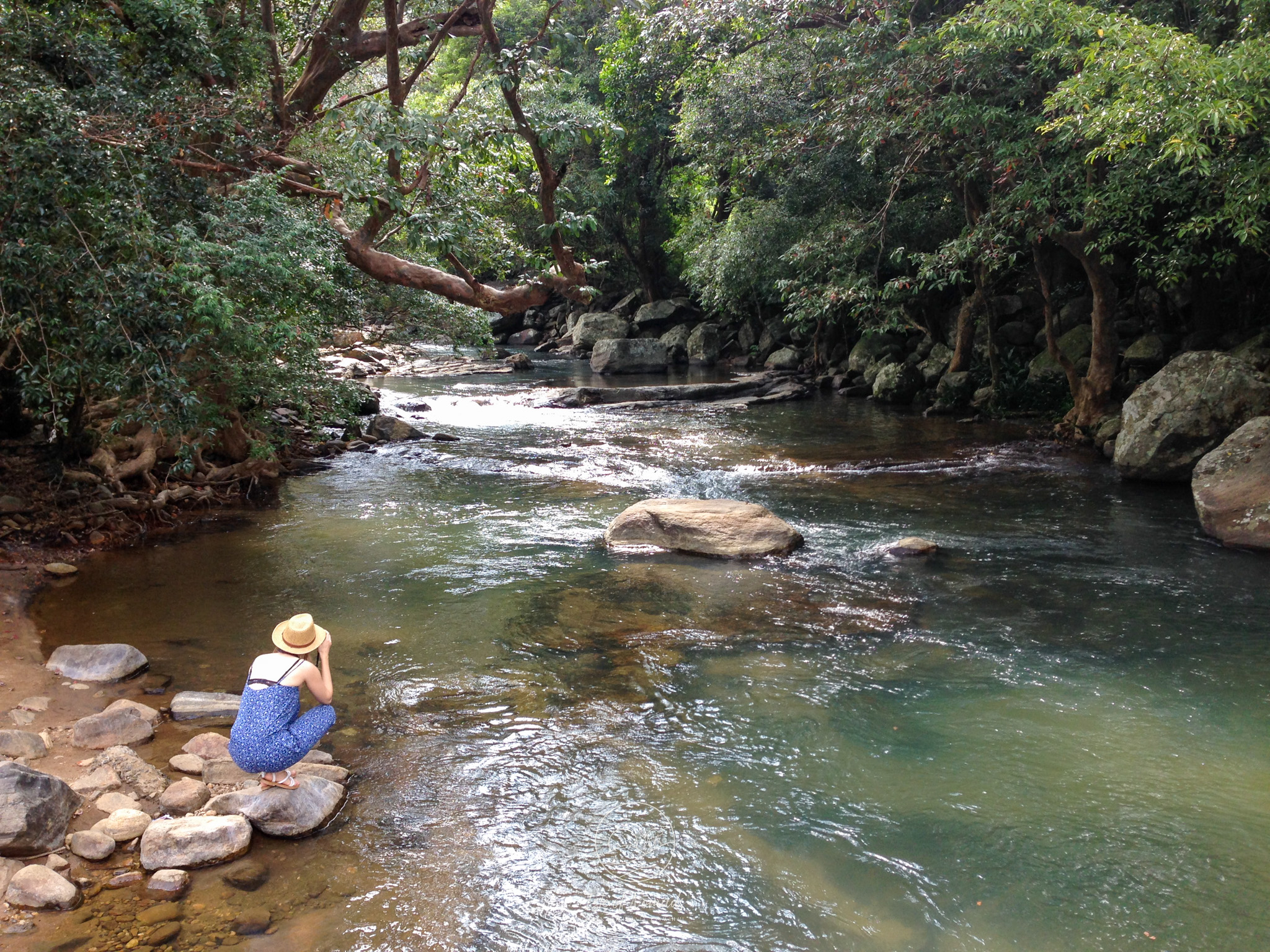 Sri Lanka has a lush and diverse landscape